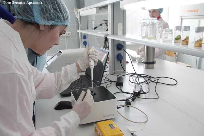 Инженер молодежной лаборатории КГУ разрабатывает лекарство от рака