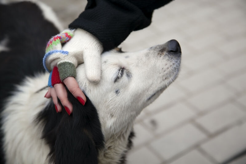 Сделать зиму теплее: как помочь НКО в холодное время года