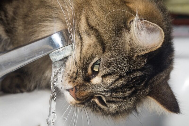 МТС запустила сервис для предотвращения аварий и краж на водоканалах