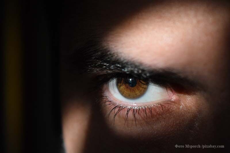 Как правильно выбрать охранную сигнализацию для дома