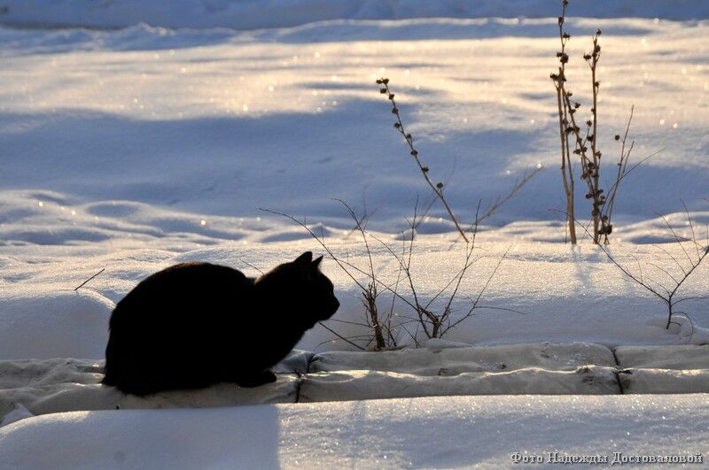 Народные приметы марта