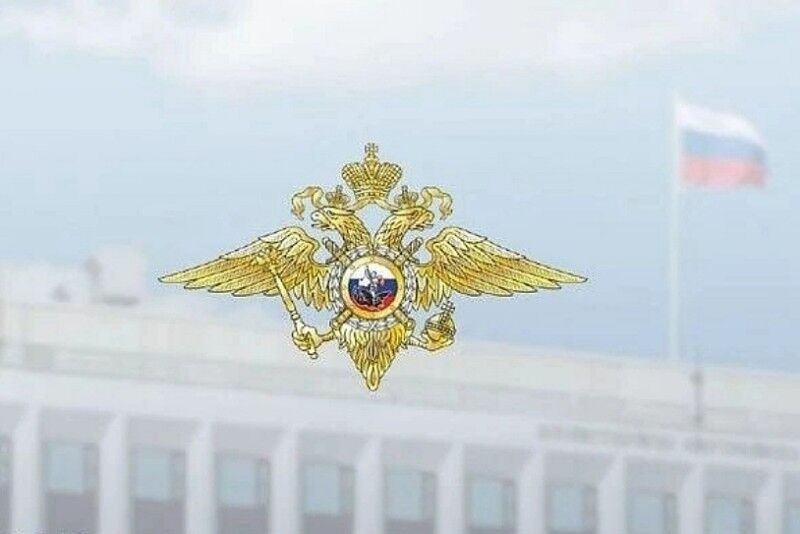 МВД России призывает граждан воздержаться от участия в несогласованных акциях