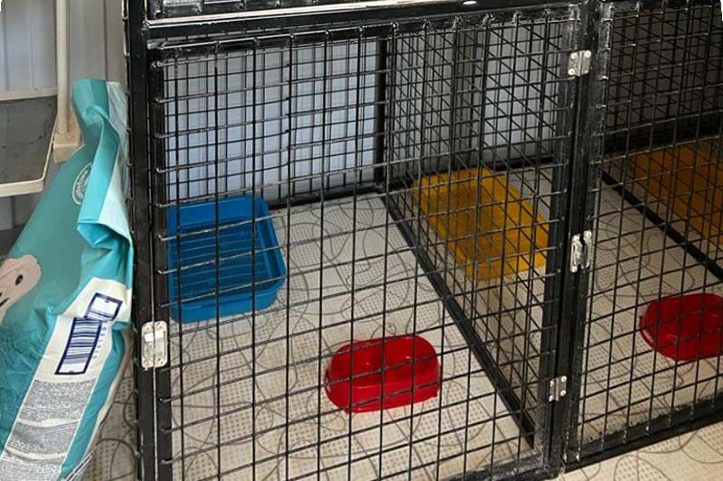 Вольеры и площадка для выгула животных обустроены в соответствии с требованиями к содержанию животных