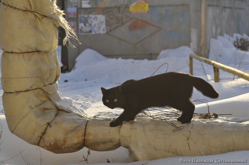 В Кургане восстановили более 18 тысяч метров теплоизоляции труб отопления и горячей воды