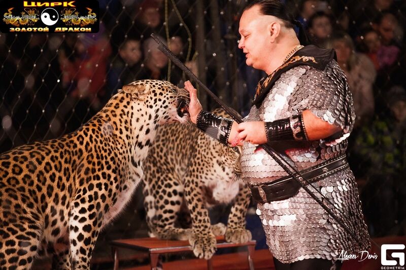 В Кургане представления цирка-шапито проходят с аншлагами