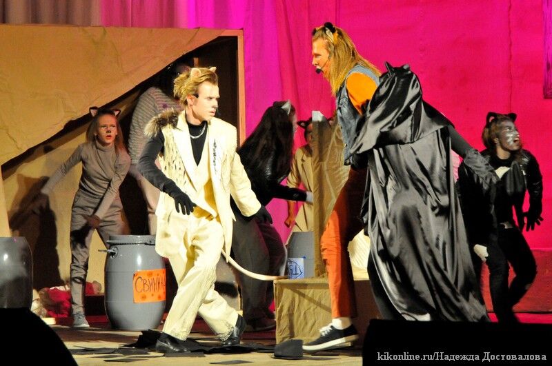 В Кургане снова покажут мюзикл «Кошачье шоу»