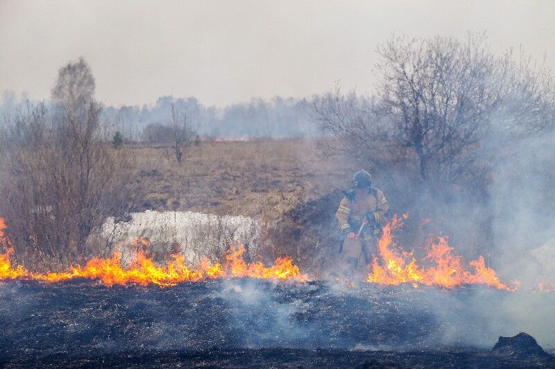 МЧС: в Курганской области прогнозируется высокая пожарная опасность