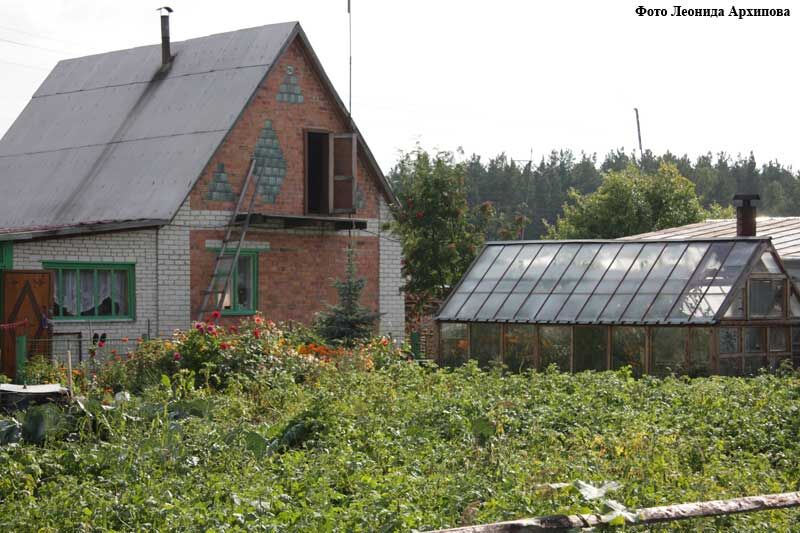 Курганским садоводам разрешили разводить кур и голосовать в мессенджерах