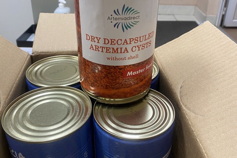 Курганский предприниматель по своей вине лишился товара на 250 тысяч рублей