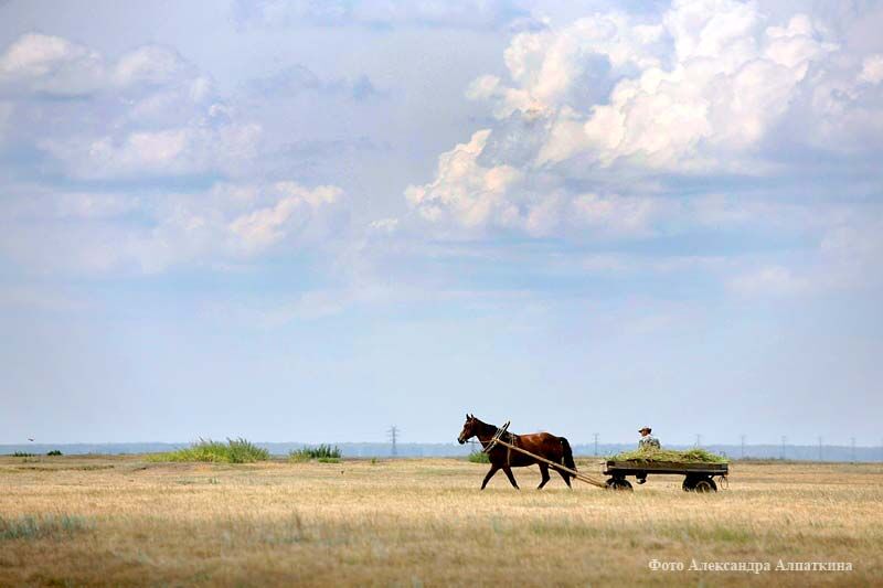 Курганская область входит в число регионов с хорошими показателями доступности услуг связи и интернета