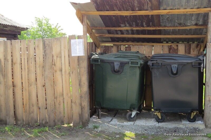 В курганском городе в мусорный бак выбросили останки животного