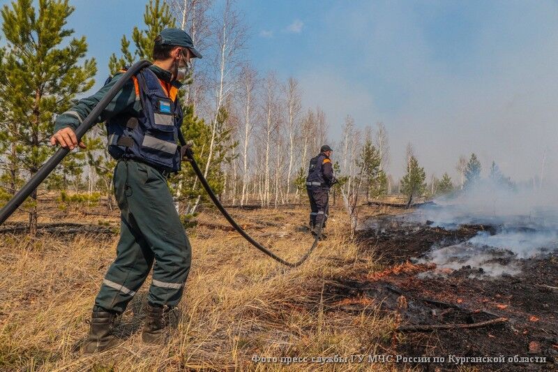 В Курганской области опровергли информацию о голодающих парашютистах, тушивших пожары