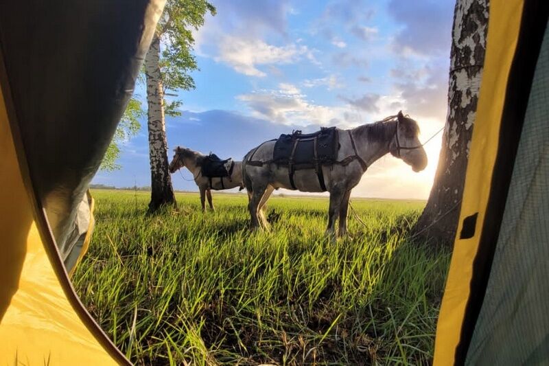 В Курган прибыла необычная экспедиция из Якутии