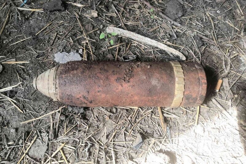 В курганском лесу нашли боеприпас времен Гражданской войны