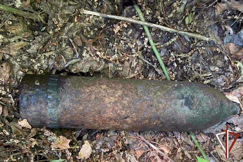 В Курганской области опять нашли столетние снаряды