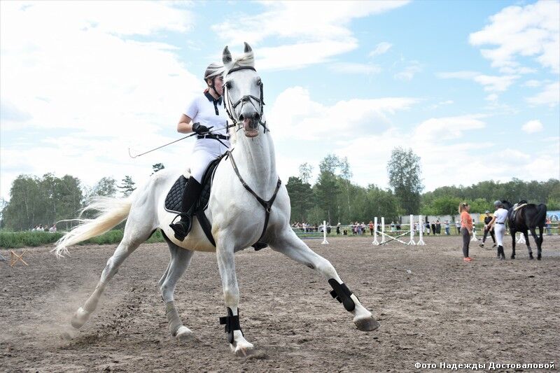 В Заозерном 24 сентября пройдет конный праздник
