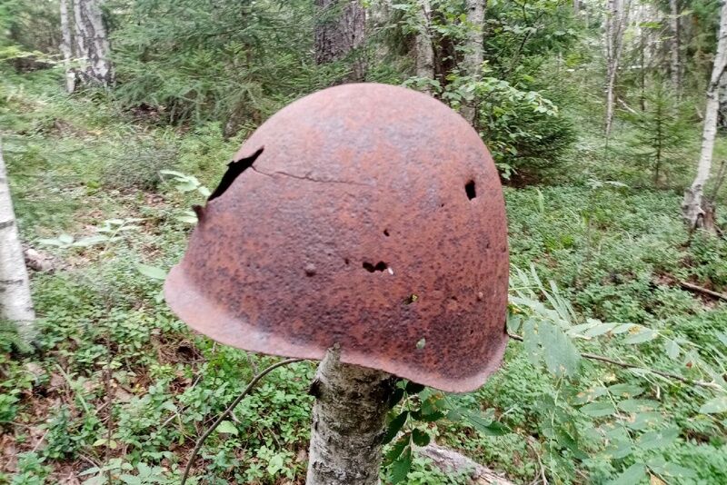 Московский поисковый отряд нашел братское захоронение участников ВОВ, среди которых есть зауральцы