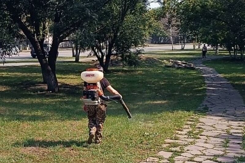 В Курганской области снизилась активность клещей