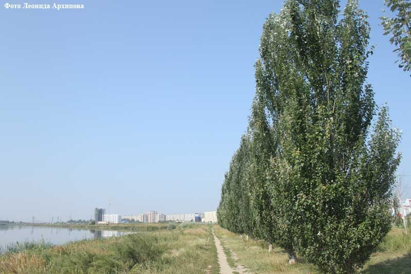 В Кургане построят водопровод к новому жилому району
