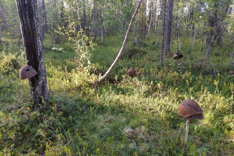 В Карелии нашли останки зауральского бойца
