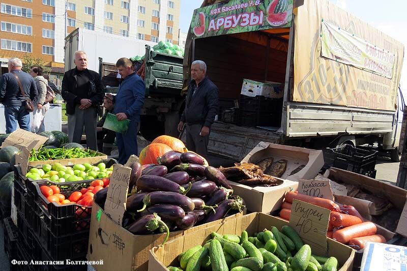 Семья Басалаевых радует Курган овощами