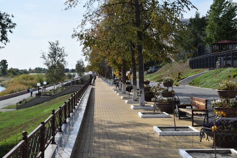 В Кургане на набережной высадили 10 лип