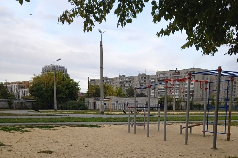 В Кургане отлавливают бездомных собак в районе гимназии № 27