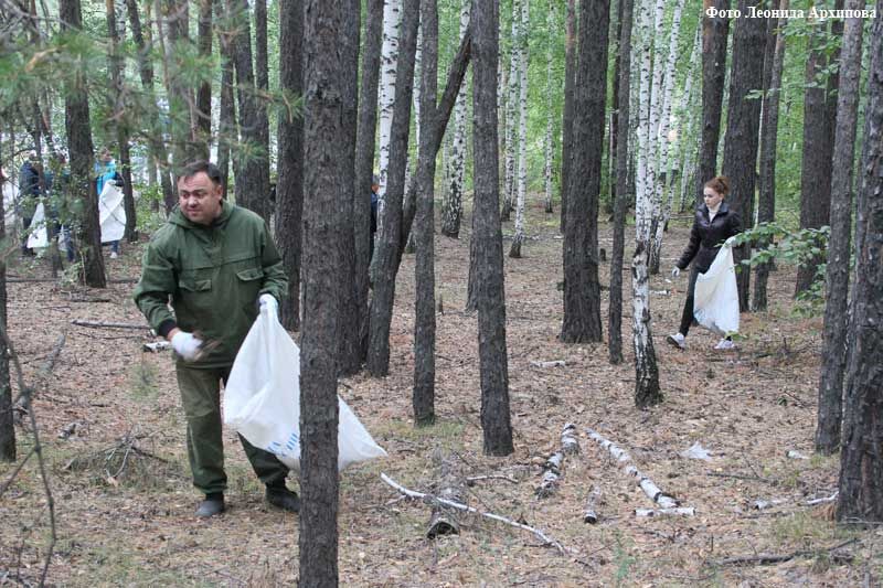 Зауральцы очистили от мусора 35 гектаров леса