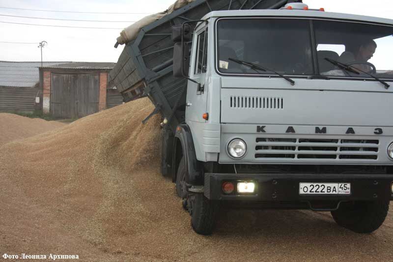 Курганские аграрии заработали уже более миллиарда рублей, продавая зерно в интервенционный фонд