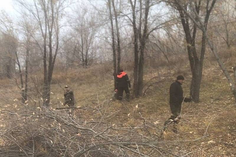 В Кургане благоустраивают набережную в Энергетиках