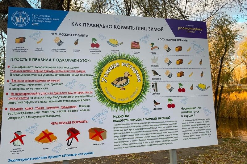 Курганцы будут кормить уток по инструкции