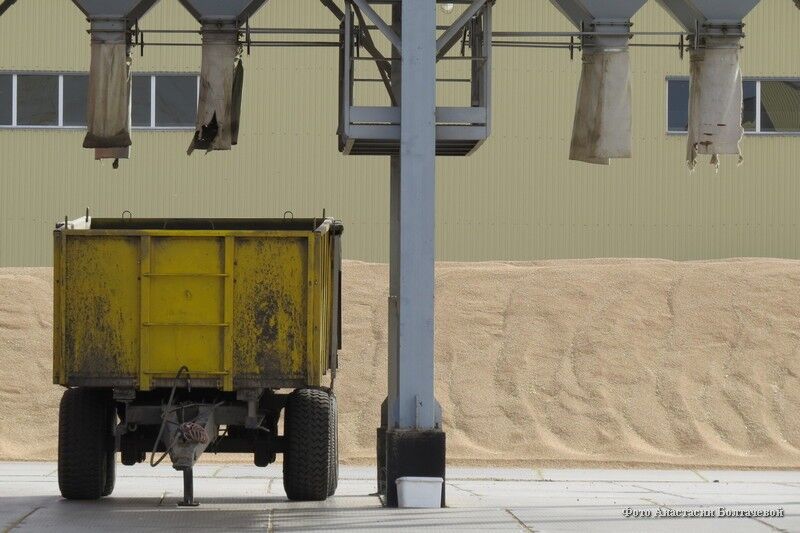 В Зауралье строят завод, который ежегодно будет производить 30 тысяч тонн семян зерна