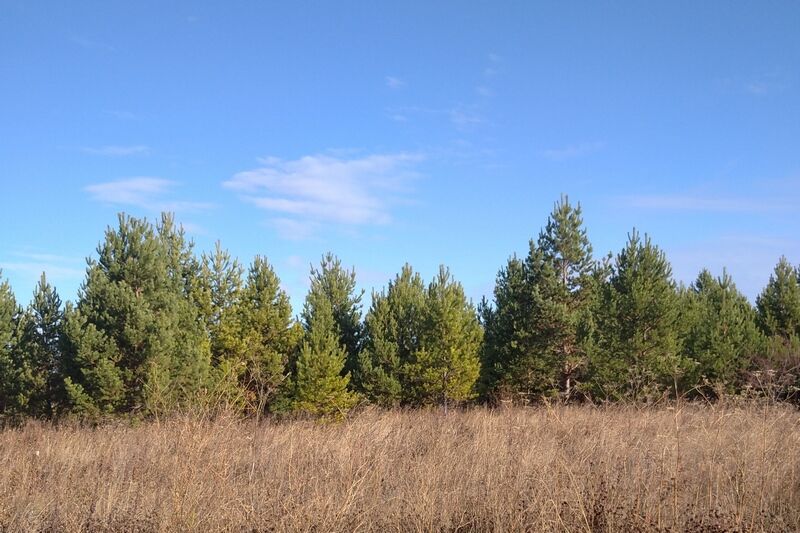 Курганцам объяснили, как выявляют неиспользующиеся земли