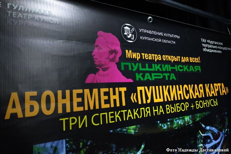 Курганская область вновь названа одним из лучших регионов по реализации программы
				«Пушкинская карта»