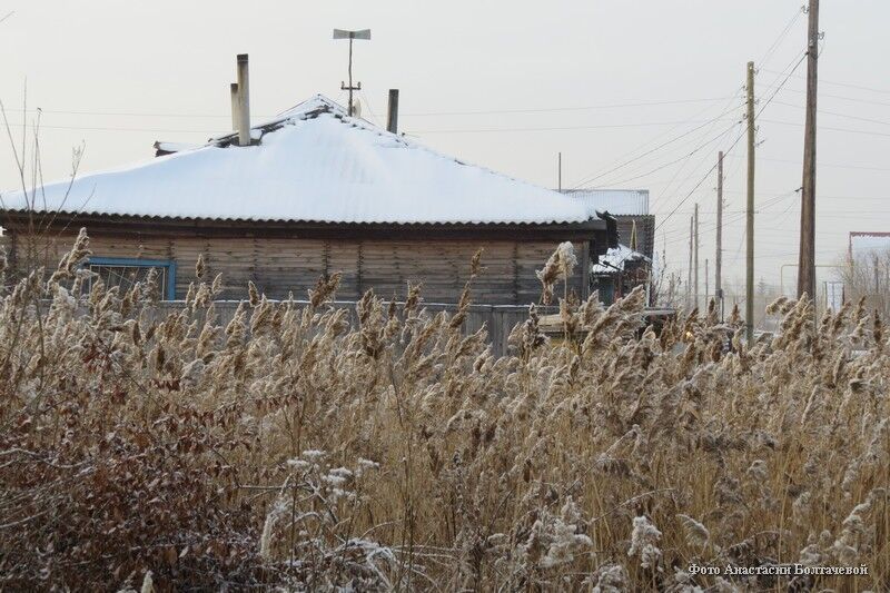 В микрорайонах, поселках и садоводствах Кургана выкосили более 50 гектаров камыша