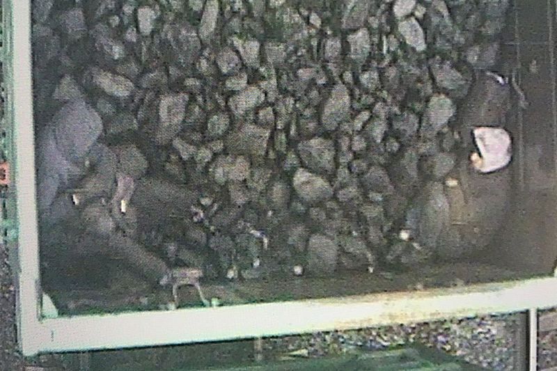 В Зауралье мигранты незаконно пересекли границу РФ в вагоне с углём