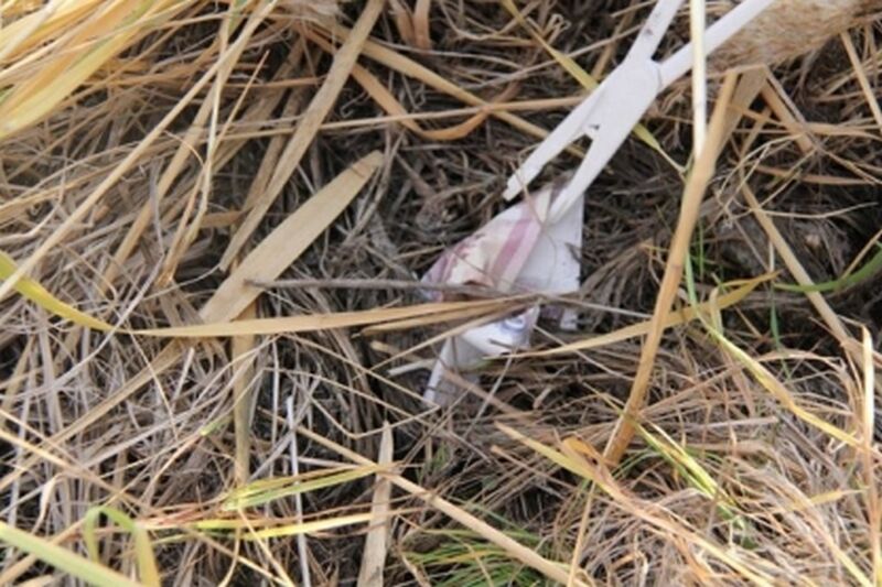 Курганец ответит в суде за убийство знакомой