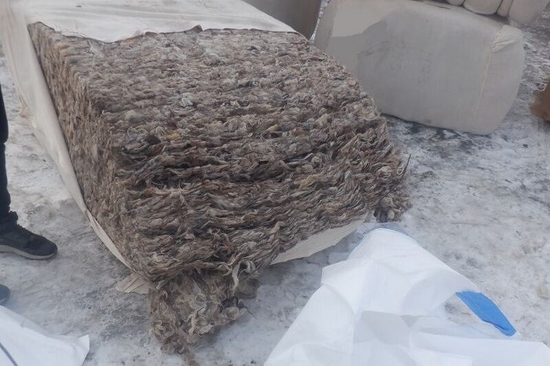 За попытку скрыть от таможенников почти 300 кг шерсти перевозчик лишится и товара и денег