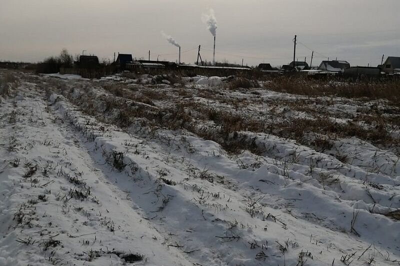 В Кургане с начала года выкосили 149 га камыша для пожарной безопасности