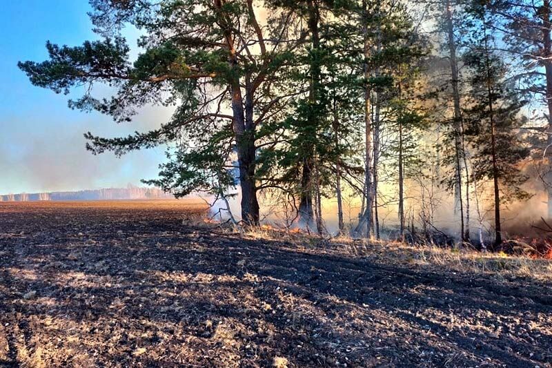В Курганской области участились случаи возгорания вдоль дорог
