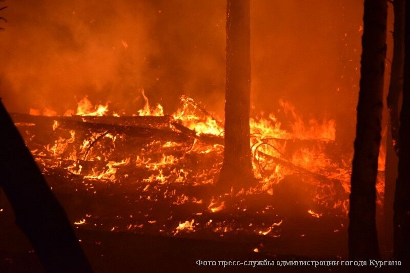 В Курганской области число погибших при пожарах выросло до 21 человека