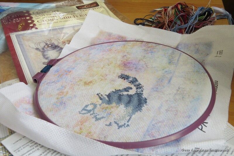 Курганцы с ОВЗ доказывают, что возможности человека безграничны