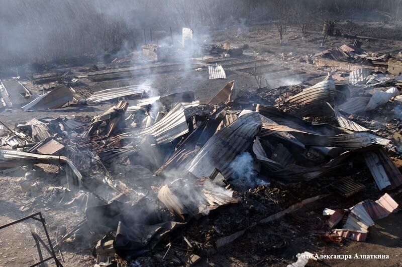 Владимиру Путину сообщили о числе погибших от пожаров в Курганской области