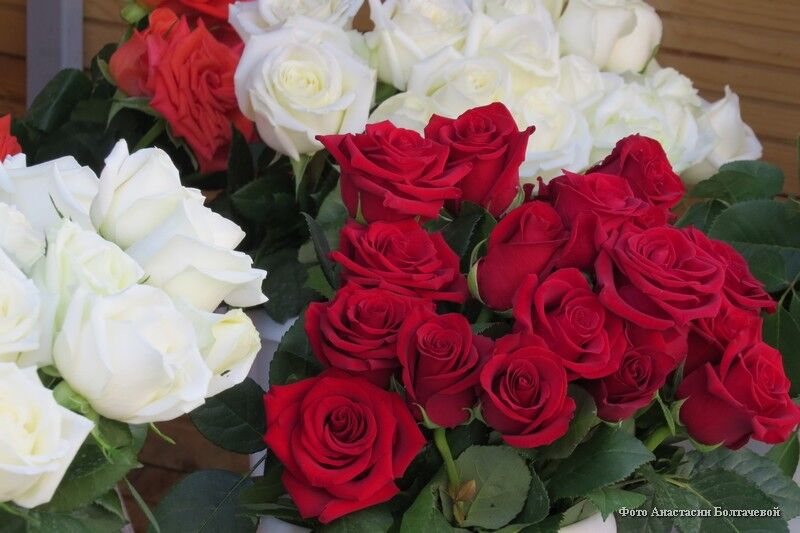 Мошенники хотят нажиться на влюбленных