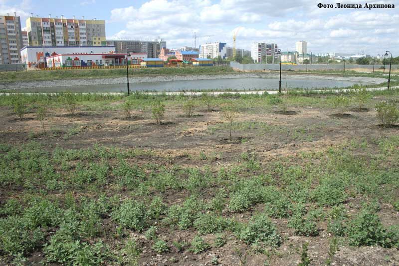 В Кургане прокуратура проводит проверку из-за купания детей в парке Заозерного