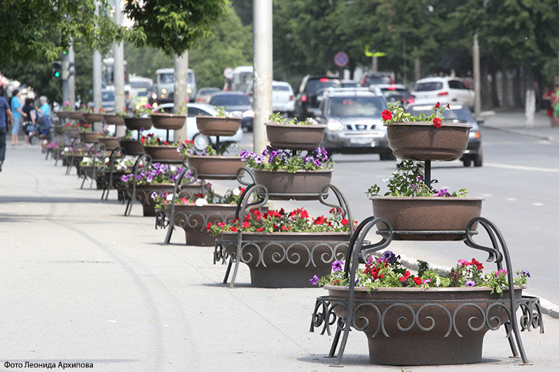 Курган начали украшать цветами