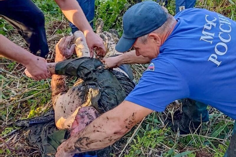 В Курганской области пенсионер пошел за грибами и чуть не утонул в болоте