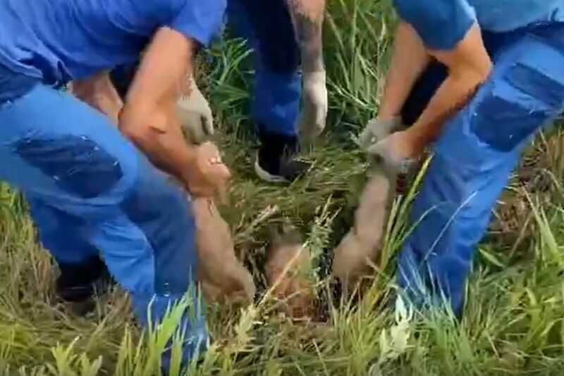 В Кургане женщину вытащили из колодца