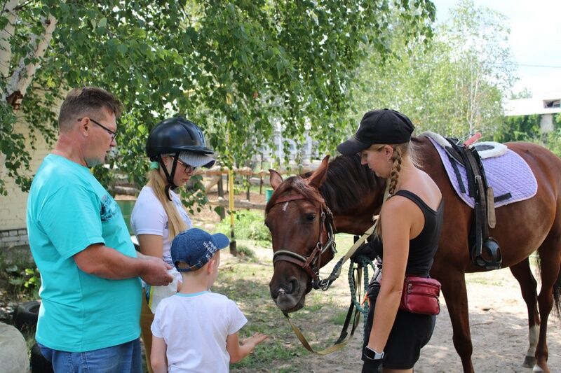 В Кургане активисты «Движения первых» соберут яблоки, чтобы покормить лошадей