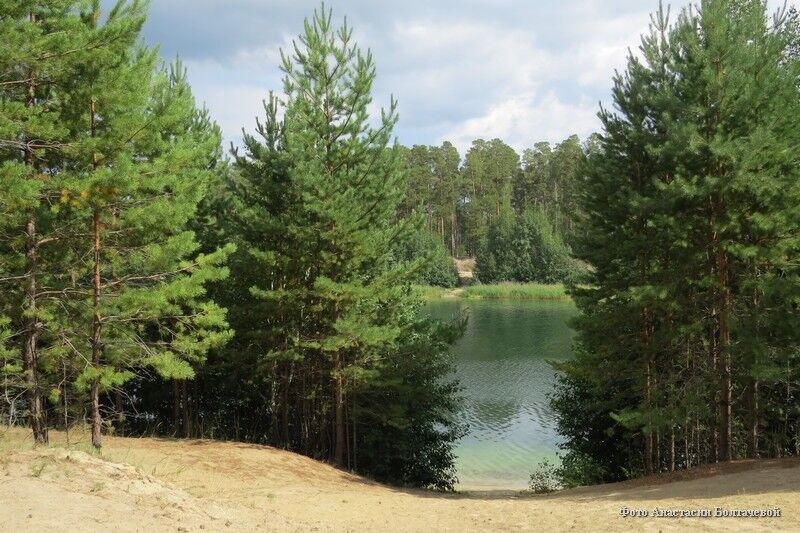 Курганская область представит на выставке «Россия» три уникальных проекта